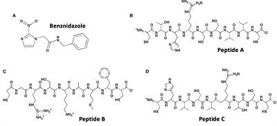 The Impact of the CTHRSSVVC Peptide Upon Experimental Models of Trypanosoma cruzi Infection